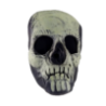 Glow in the Dark Skull