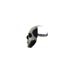 Glow in the Dark Skull