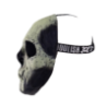 Glow in the Dark Skull