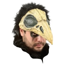 Casco de Crow Bird