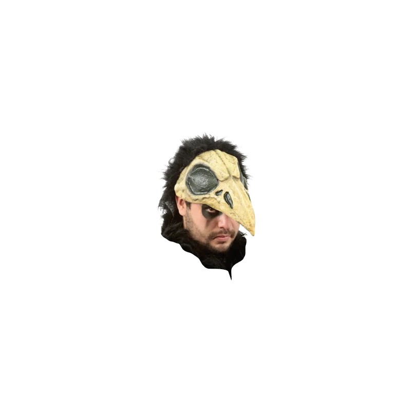 Casco de Crow Bird
