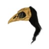 Casco de Crow Bird