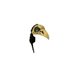 Casco de Crow Bird