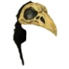 Casco de Crow Bird